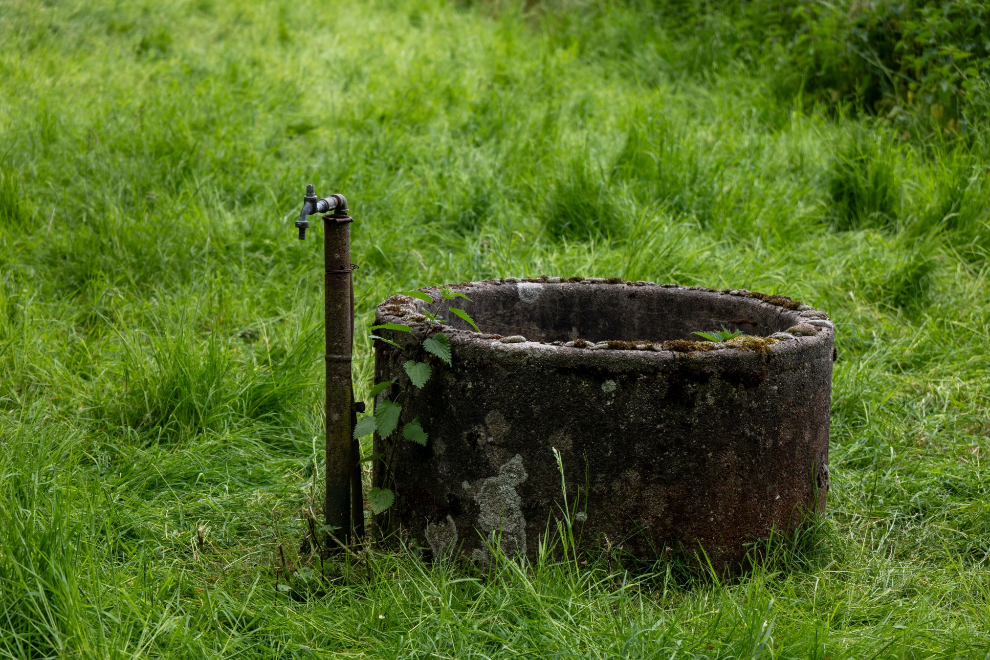 Are You Running to Broken Cisterns or Living Water? 