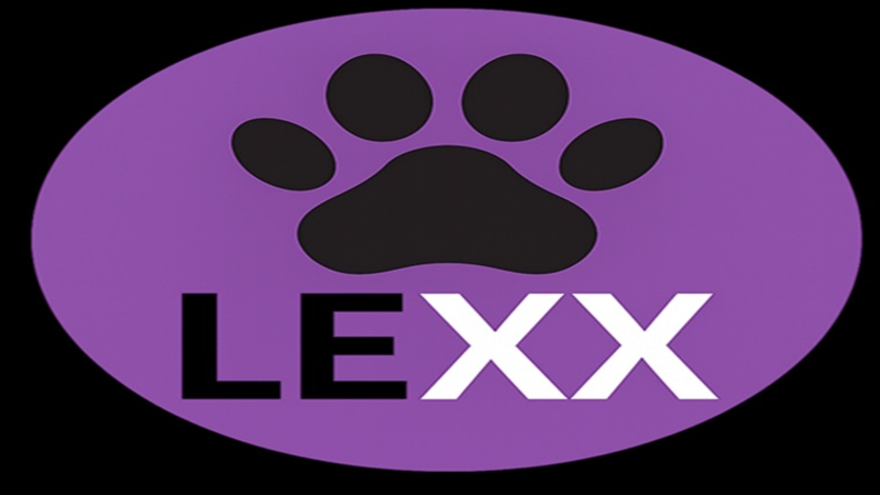 Fundraiser Image