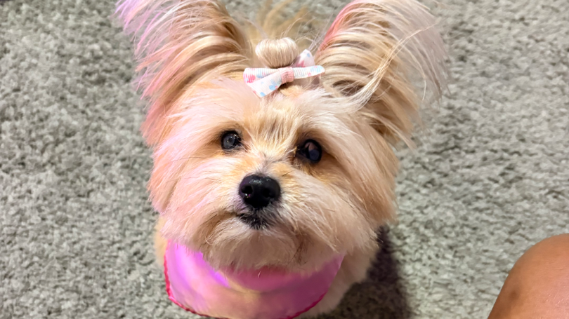 Fundraiser Image