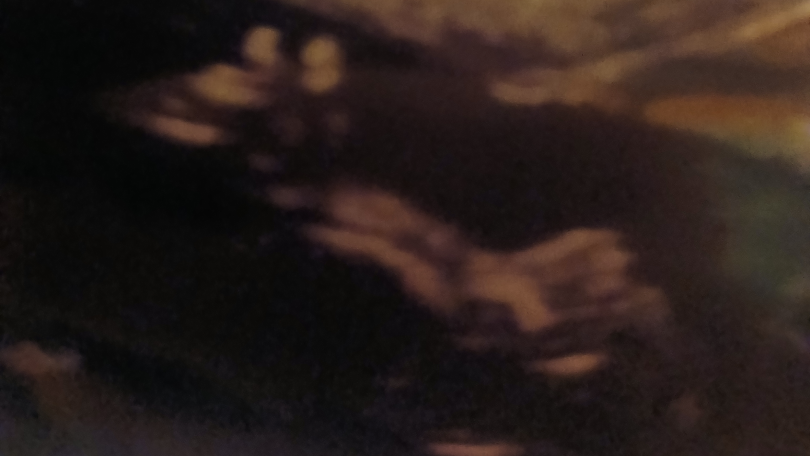 Fundraiser Image