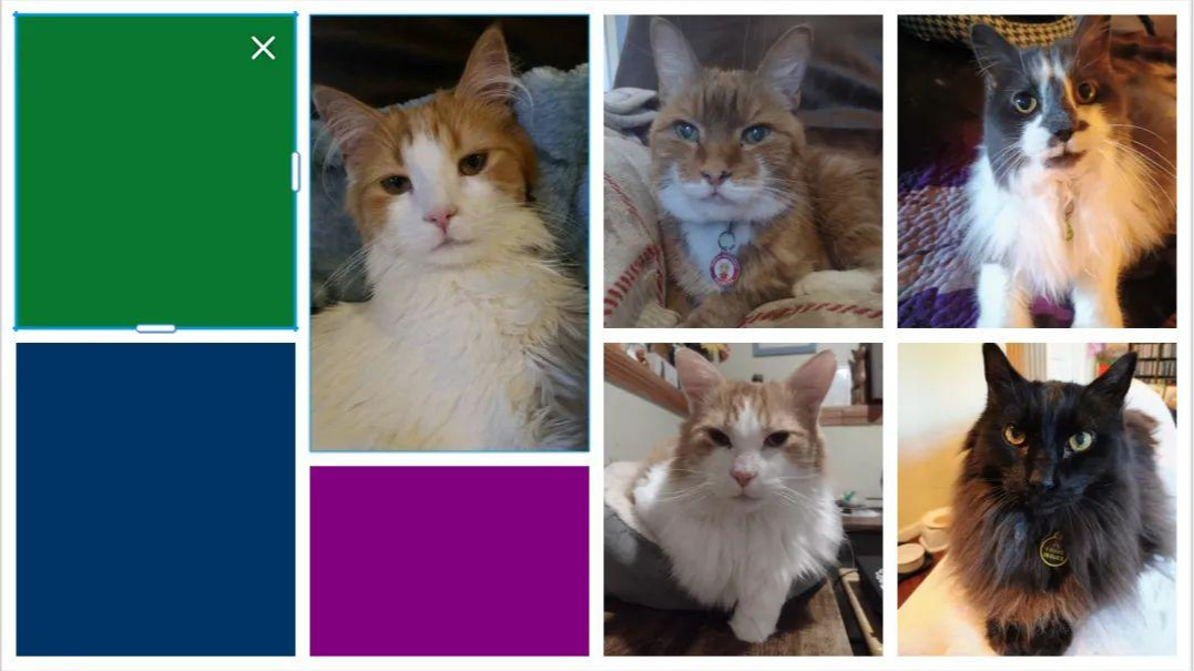 Help for the Papavlo cats