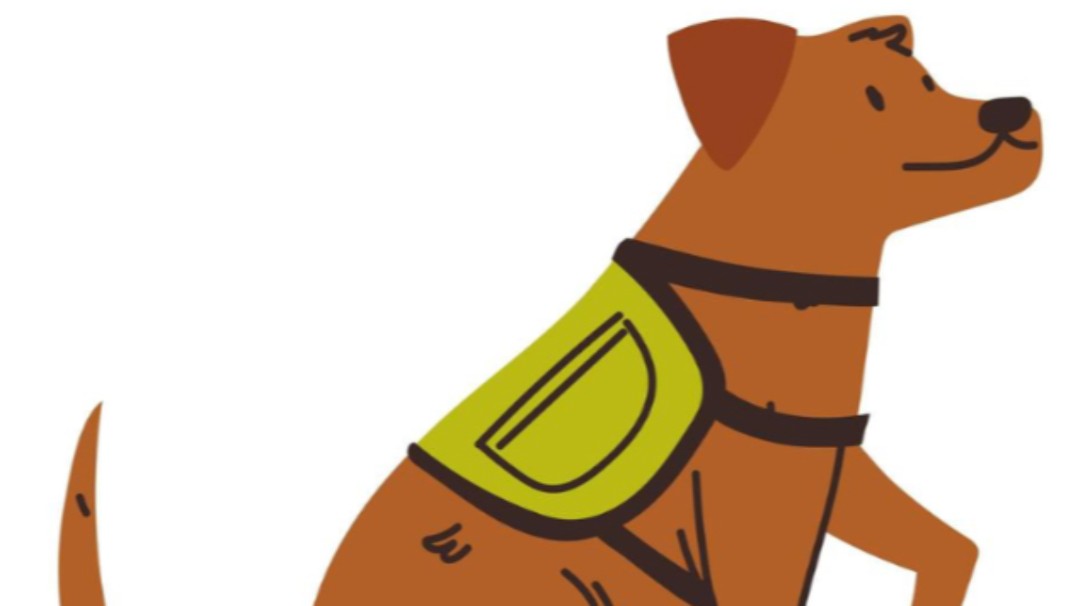 Fundraiser Image