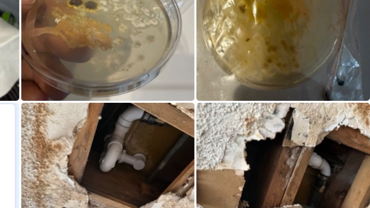 Fundraiser Image