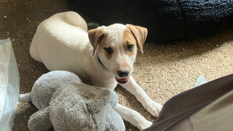 Fundraiser Image