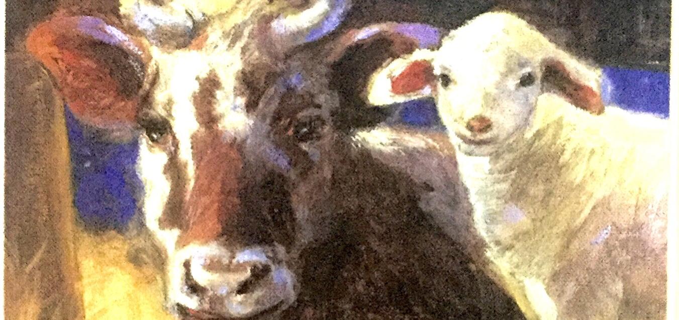 Farm Animal Fund