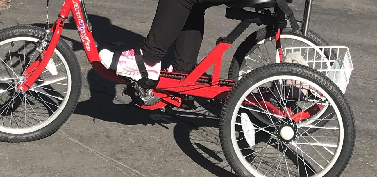 Replace Stolen Trike For Des