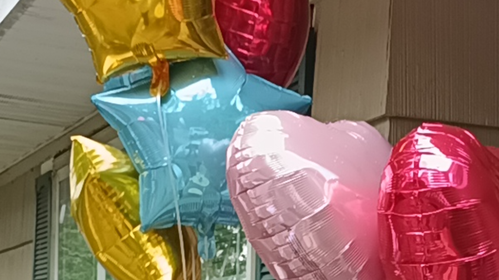 Fundraiser Image