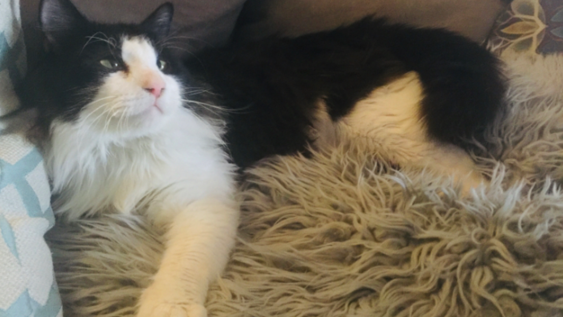 Disabled trying to save mine and rescues home