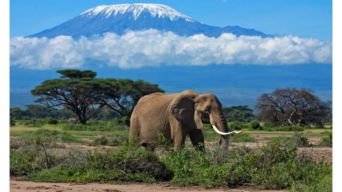 Tanzania Stadium Crusade 2023