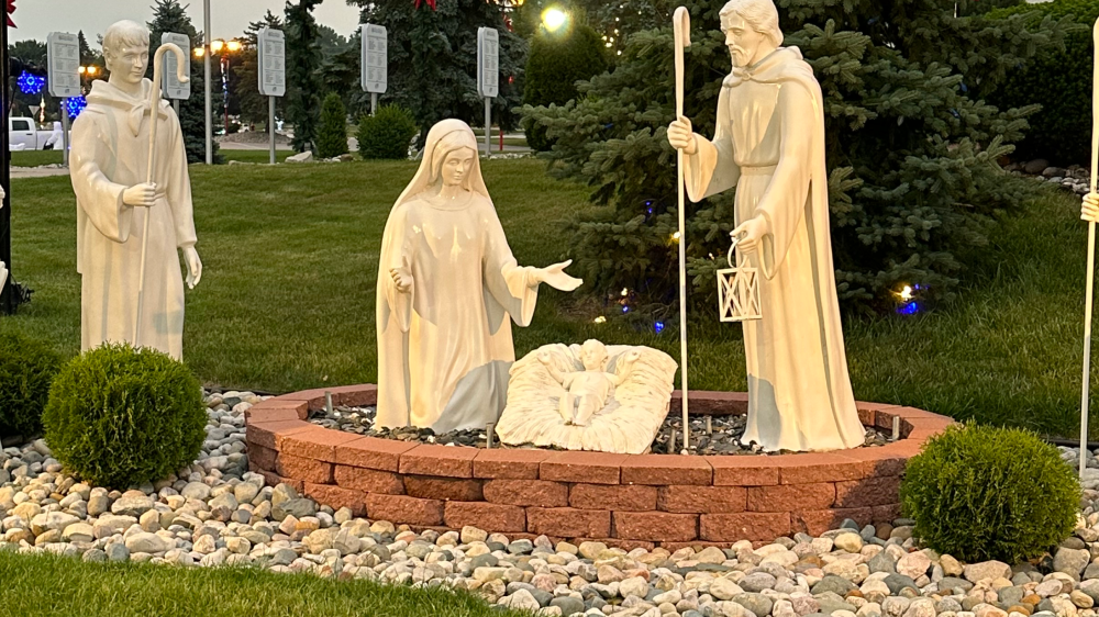 campaign image
