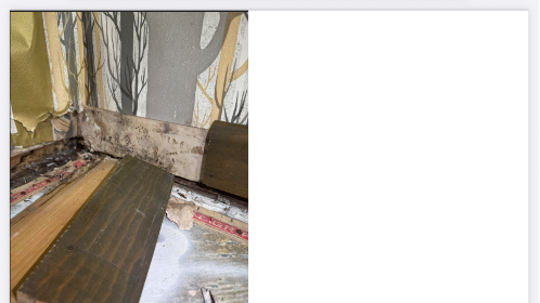 Fundraiser Image
