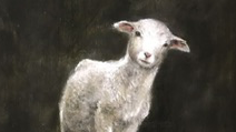 Fundraiser Image
