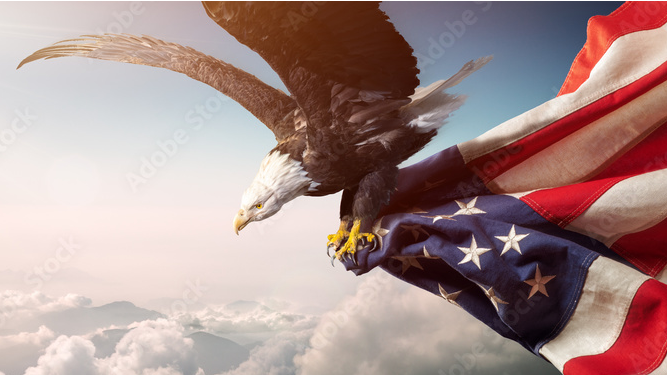 Campaign Image