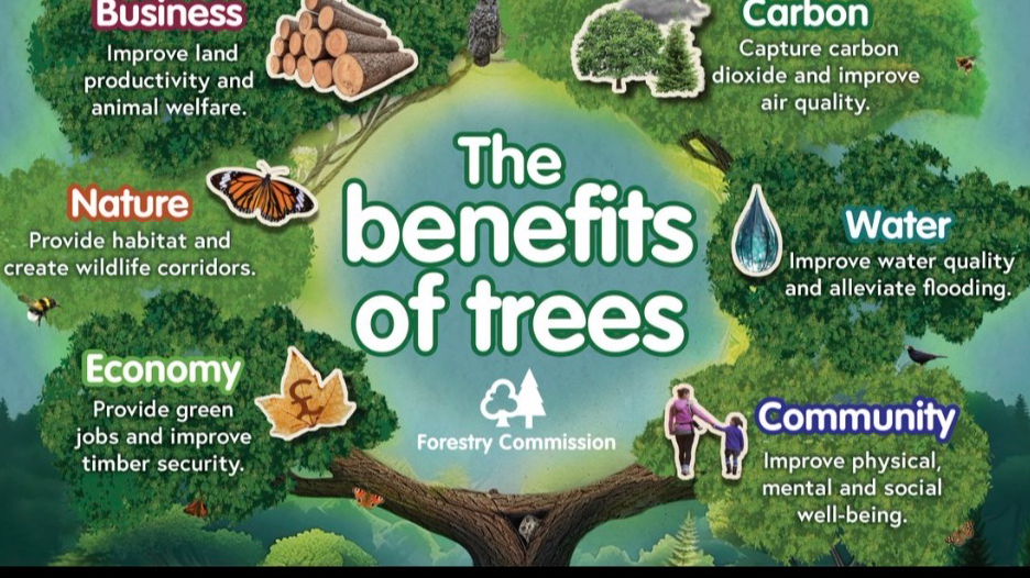 Fundraiser Image