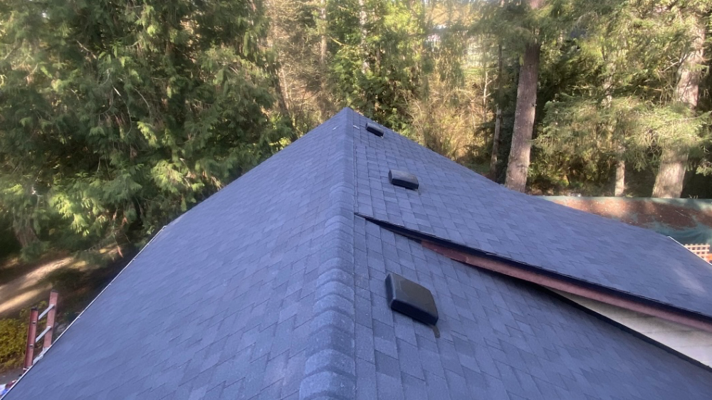 Roof Our Neighbor house Free!!