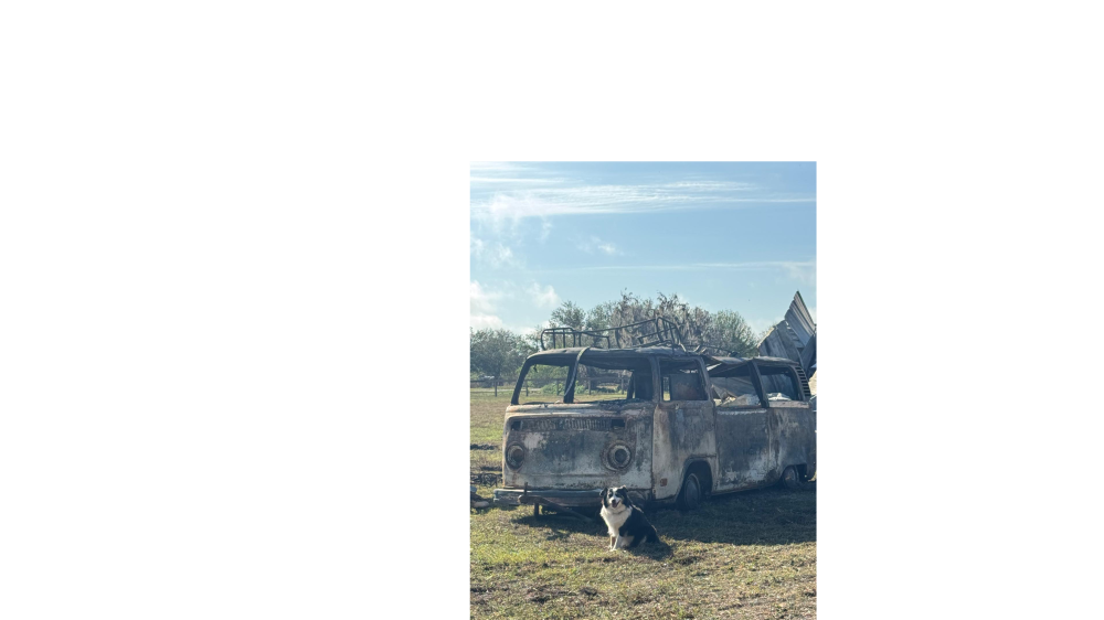 Campaign Image