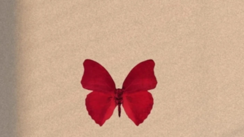 Fundraiser Image