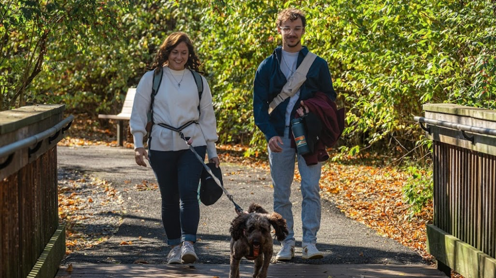 Campaign Image