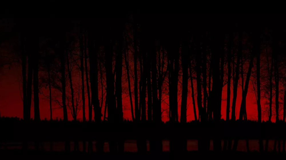 Campaign Image