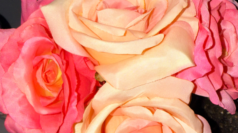 Fundraiser Image