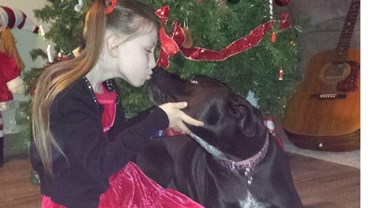 Beloved family dog needs eye surgery! Please help!