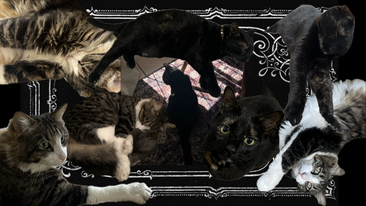 Fundraiser Image