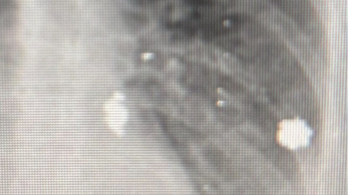 Fundraiser Image