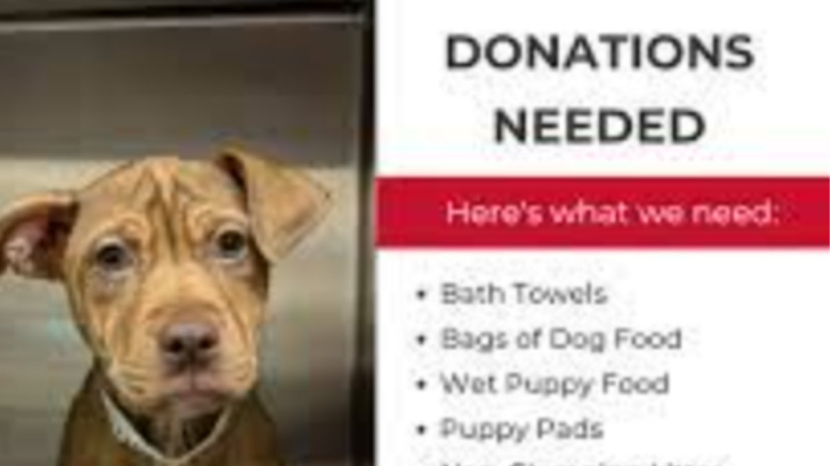 Fundraiser Image