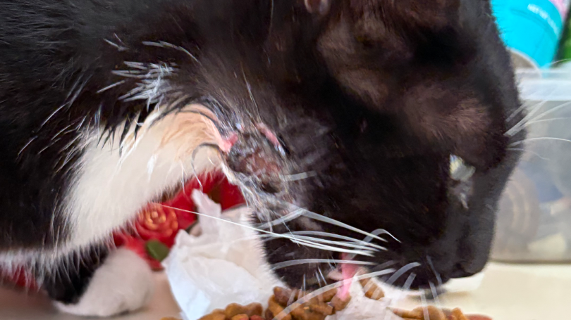 Fundraiser Image