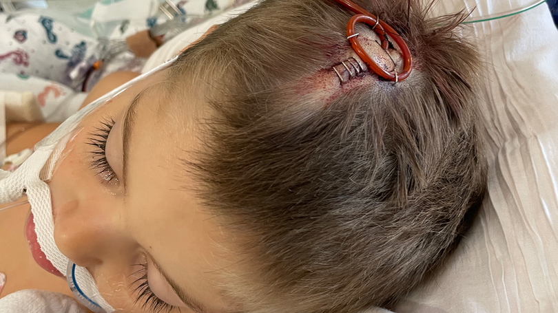 Support 3yr old Phineas Brain Anuerysm Treatment — fundraiser photo (2 of 4)