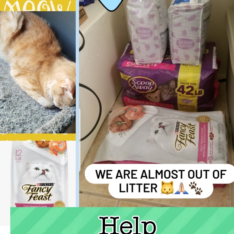 Update September Pet Supplies - Thank You! Image