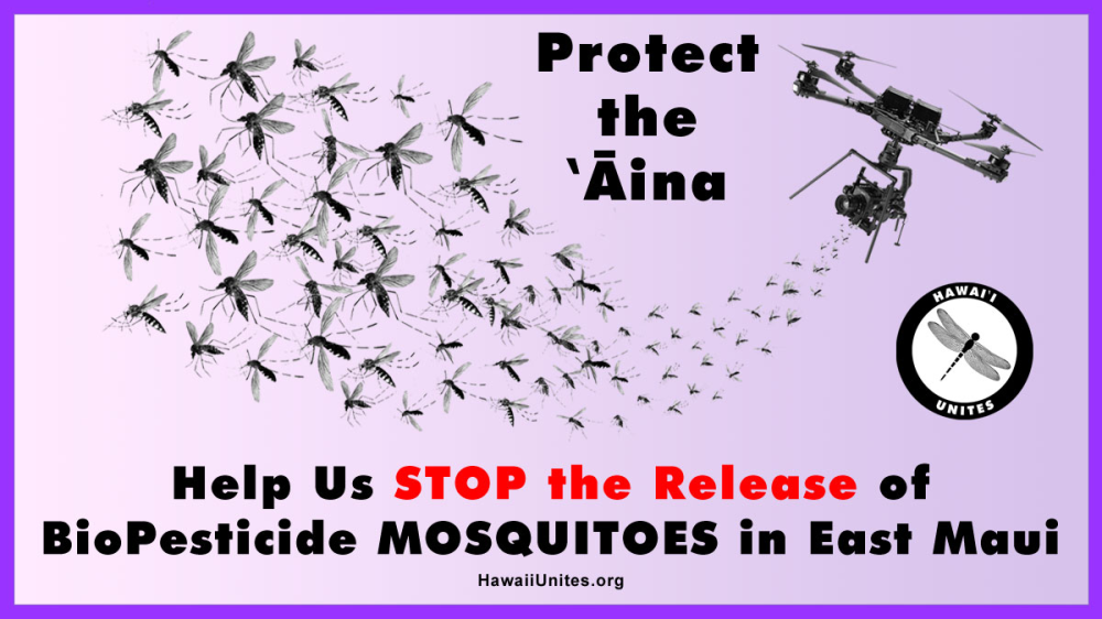 Update Hawaii Unites has filed a TRO and Preliminary Injunction to STOP the Release of BioPesticide Mosquitoes Image