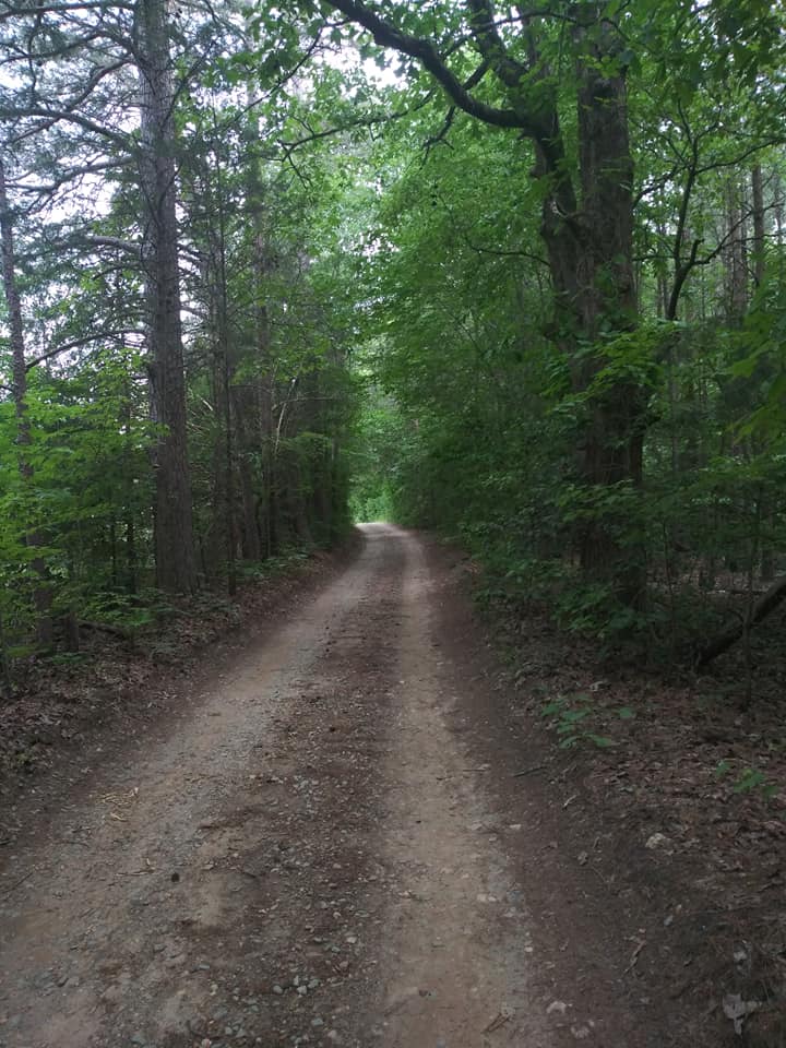 Update One way to follow my journey Image