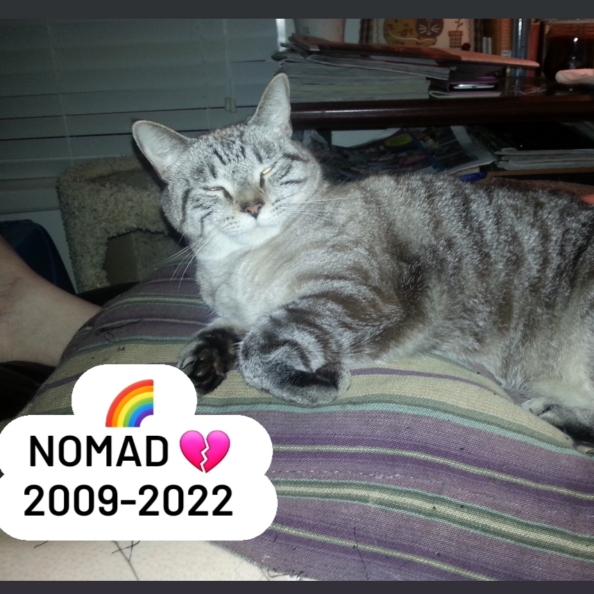 Update Nomad - (Blind Kitty) - Goodbye for Now - 2009-2022 Image