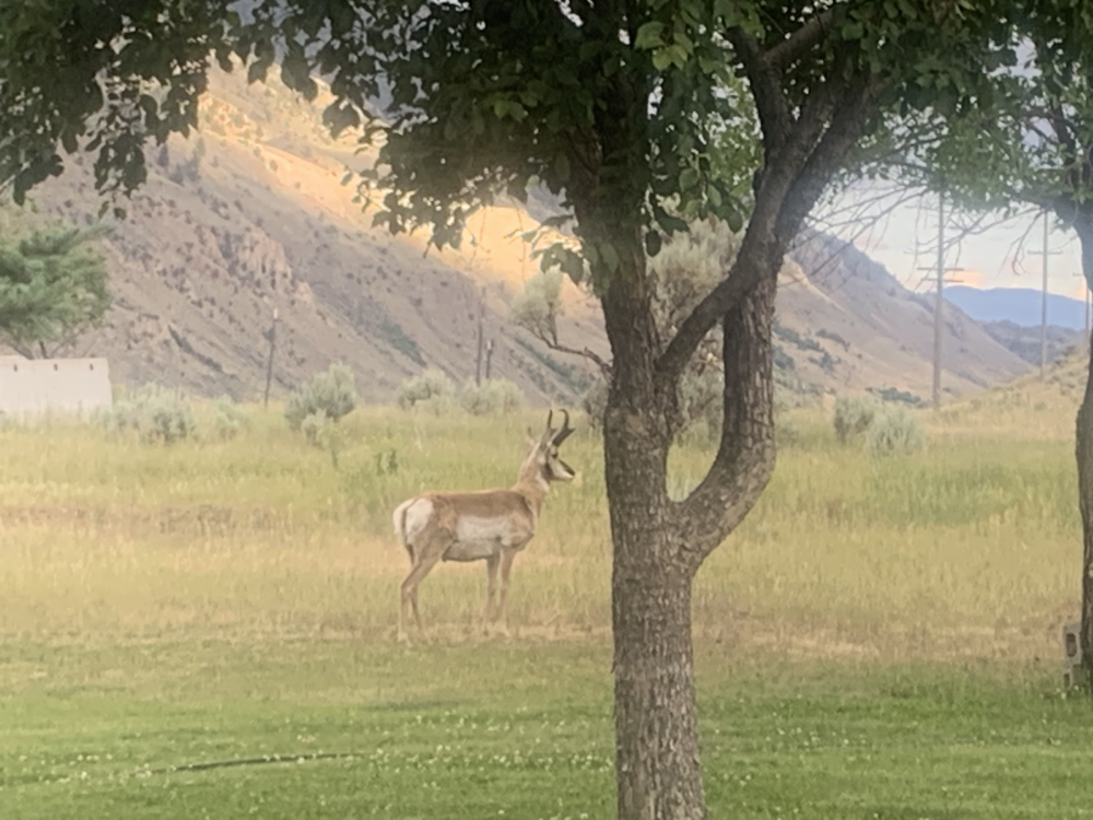 Update Update #3 Image