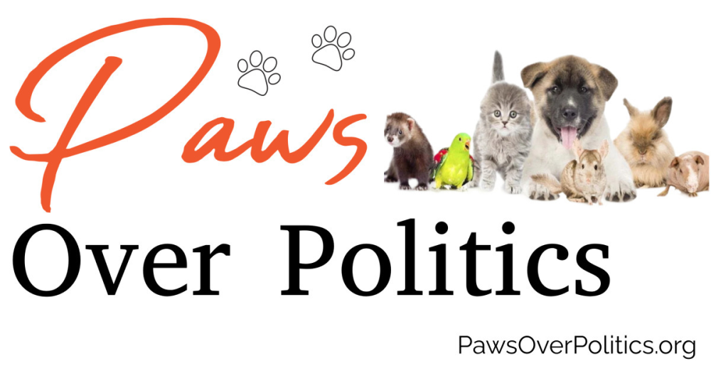 Update Reba's Law AB381 Image