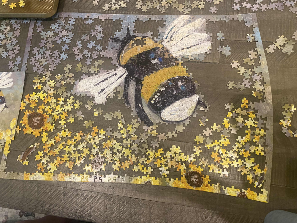 Update Update #6: Bee Positive Image