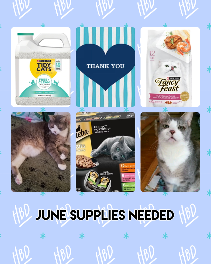 Update June 2025 Pet Supplies Image