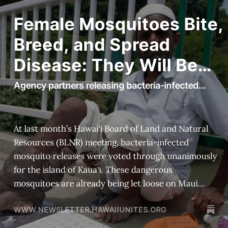 Update Female Mosquitoes Bite, Breed, and Spread Disease: They Will Be Released Image