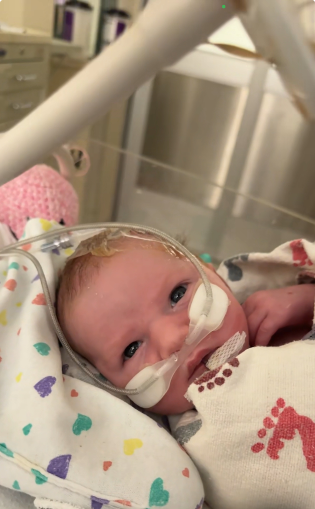Update Update #1 Image