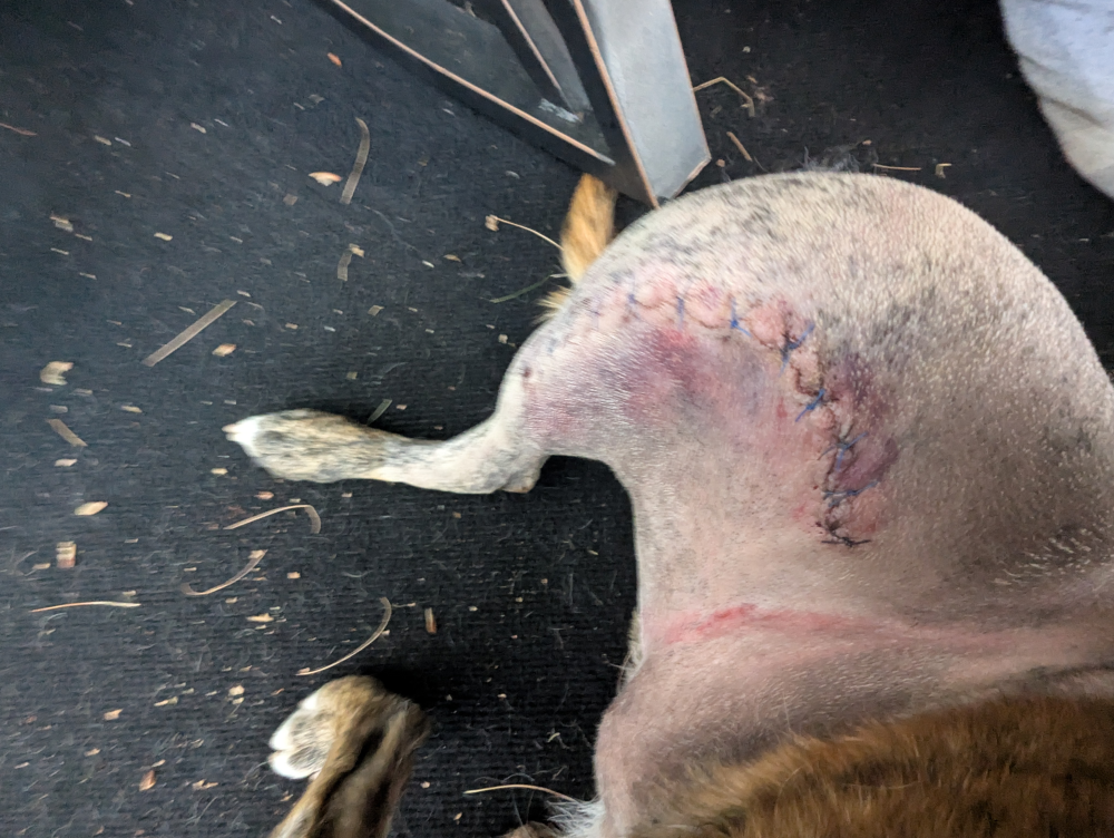 Update Update #2 Image