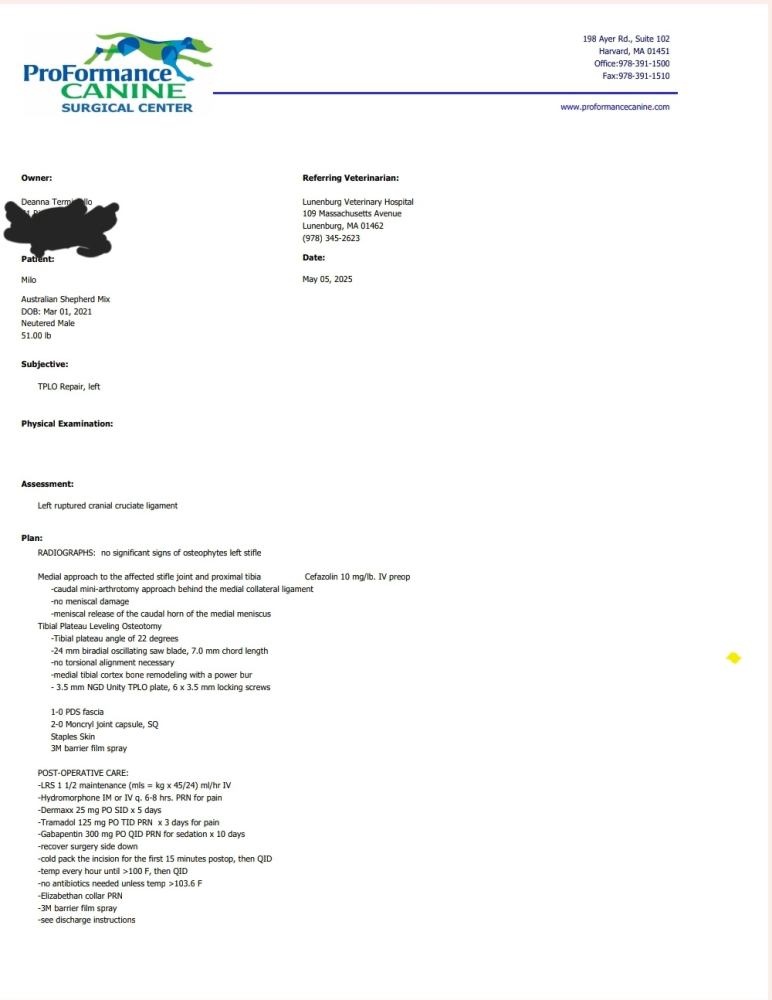 Update Notes From 2nd surgery 5/5/25 Image