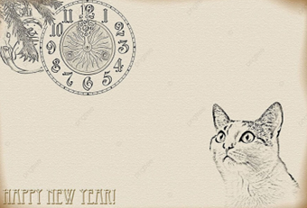 Update Update #16 - Cat Countdown to the New Year Image