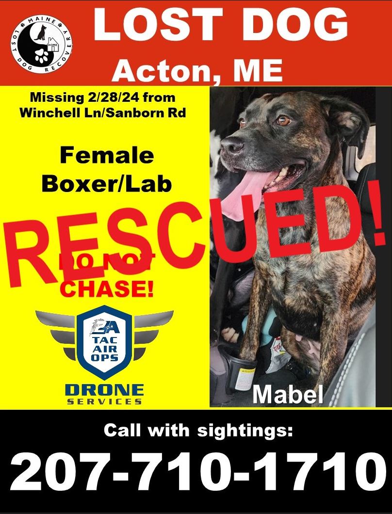 Update The search for Mabel! Image