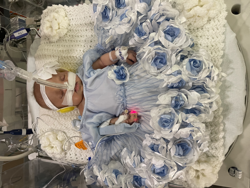 Update Serenity’s surgery update since 5/28/25 Image
