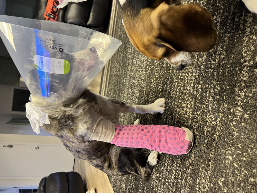 Update Update #1 Image
