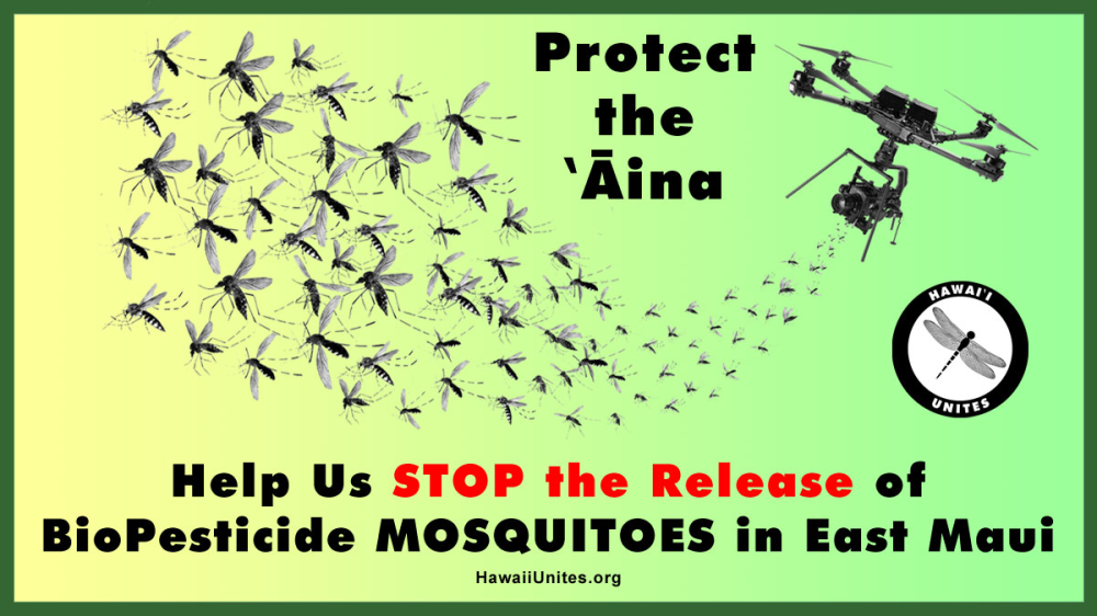 Update Help Us STOP the Release of BioPesticide Mosquitoes  Image