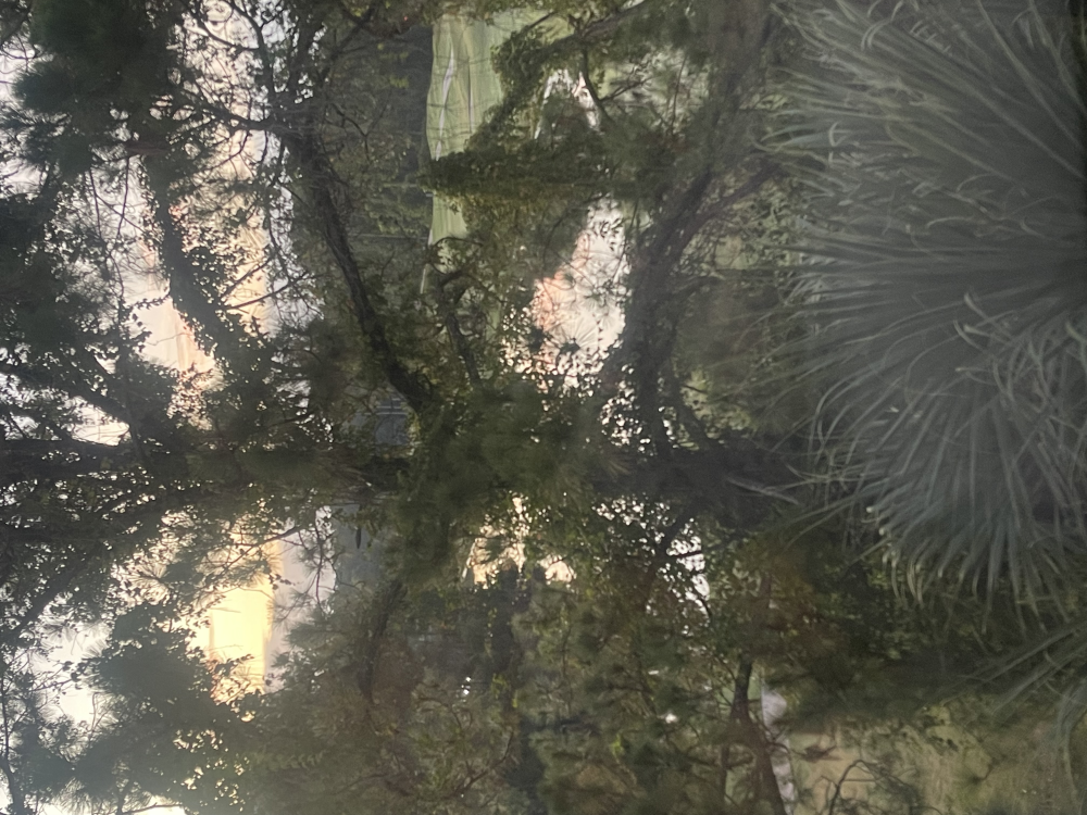 Update A bit of the real. Image