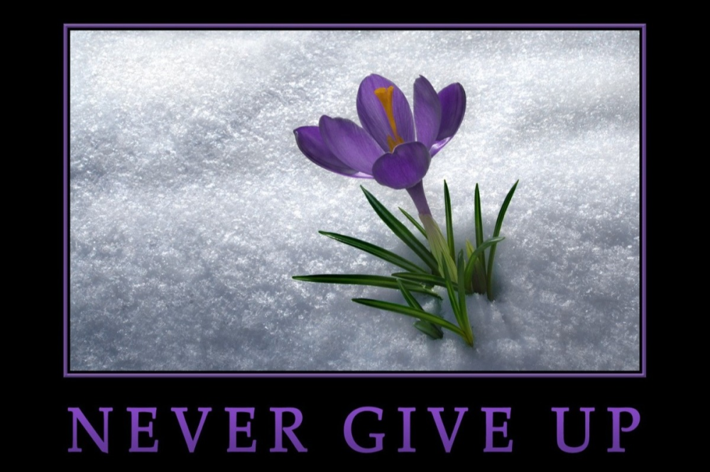 Update Never give up Image