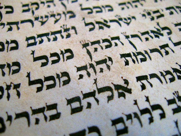 Update TorahBibleCodes: Free, Open-Source Python Equidistant Letter Sequences (ELS) Hebrew Bible Search Software Image